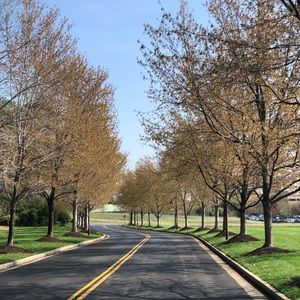 Meet your Posher, Abiey